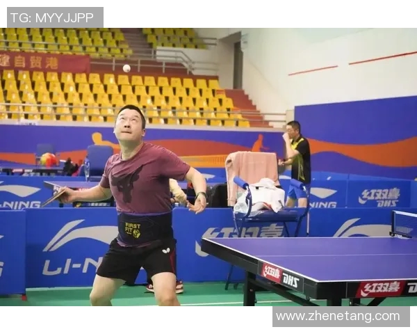 南京乒乓球队总决赛技术表现分析与未来发展展望 南京乒乓球队总决赛技术表现分析与未来发展展望