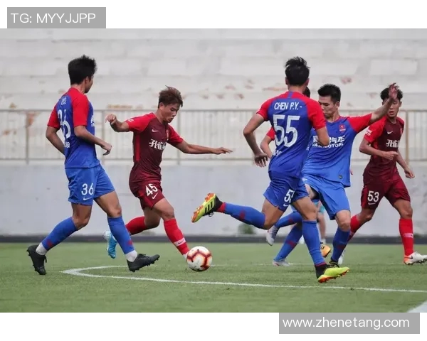 成都排球队以59分领跑钻石联赛积分榜展现强劲实力