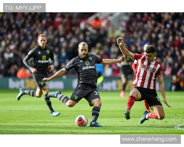 成都网球队以54分领跑总决赛积分榜展现强劲实力 成都网球队以54分领跑总决赛积分榜展现强劲实力