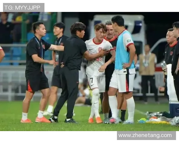 杭州足球队团队协作引发热议球迷对战术配合和球员表现的不同看法