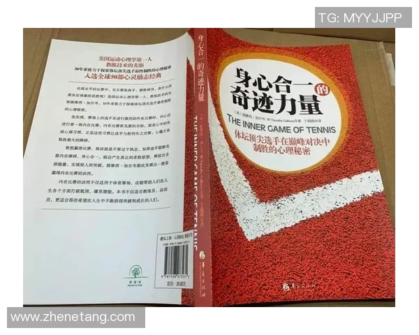 深圳网球队个人能力排名创新高引发关注助力网球发展新篇章 深圳网球队个人能力排名创新高引发关注助力网球发展新篇章