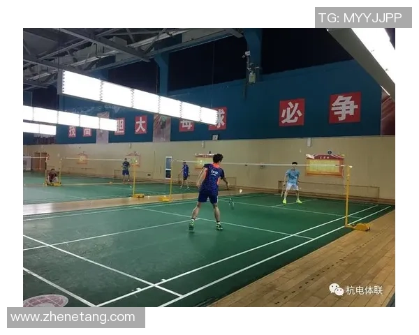 深圳羽毛球队区域防守策略解析与深度剖析 深圳羽毛球队区域防守策略解析与深度剖析