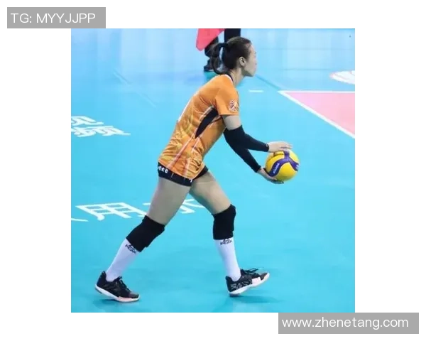 王娜专访：回顾排球历程