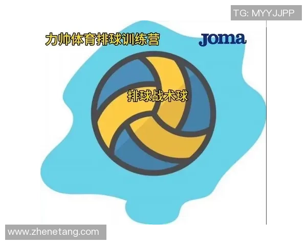 排球专题：聚焦成都排球队的战术