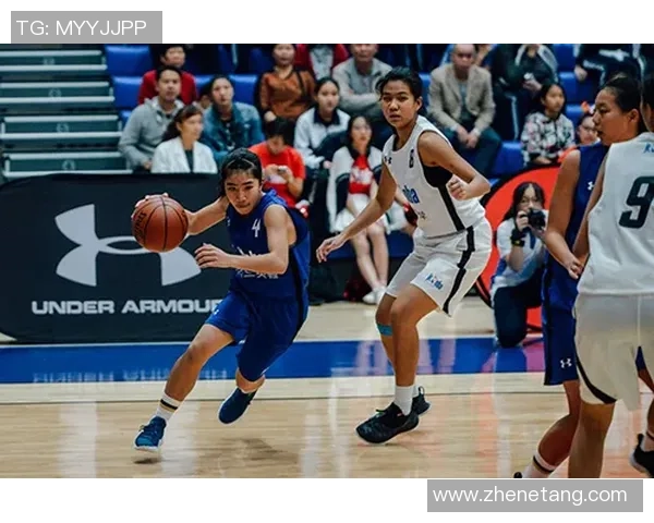 独家分析：深圳篮球队的实力对比